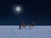 Best Time to Visit Rann Utsav: The Magic of Full Moon Nights Full Moon Nights