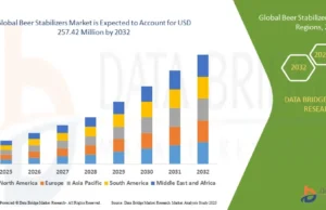 Beer Stabilizers Market