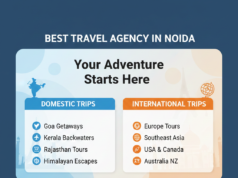 Best Travel Agency in Noida for Domestic & International Trips Best Travel Agency in Noida for Domestic & International Trips