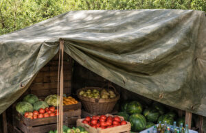 Tarpaulin Uses for Winter Holiday Events tarpaulin