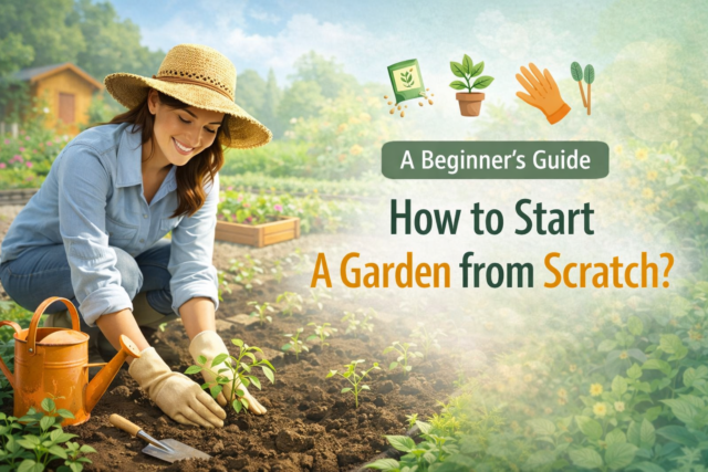 A Beginner’s Guide to Start Garden from Scratch Start Garden