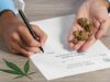 Marijuana Card Hialeah: Legal Requirements for Florida Patients Medical Marijuana Card in Hialeah