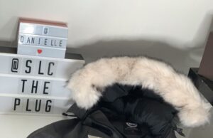 Paragoose Official Website Paragoose Official Website