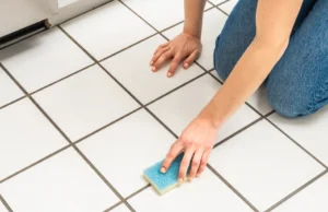 Professional Grout Cleaning Services Salt Lake City UT for Cleaner Surfaces Grout Cleaning Services Salt Lake City UT