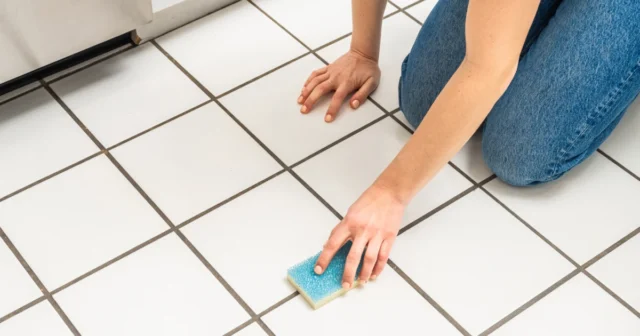 Grout Cleaning Services Salt Lake City UT