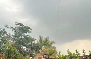 H.O.M.E. Wellness Café in JP Nagar, Bangalore, dosha-based meals