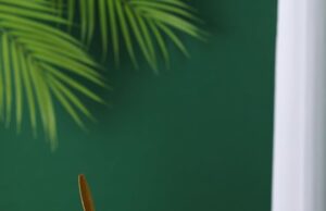 Best Delisoga Glassware for Serving Guests delisoga glassware