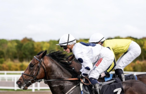 Comprehensive Guide To India’s Horse Race Card For Race Fans India’s horse race card