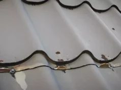 The Process Of Anti-Corrosion Treatment Of a Metal Roof The process of anti-corrosion treatment of a metal roof