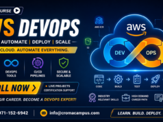 Everything Professionals Can Do Only With AWS DevOps