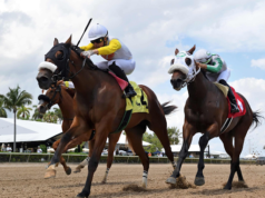 History of Indian Horse Racing and the Rise of the Club