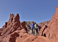 Beyond the Horizon: Adventure and Wildlife in the Atacama Desert Beyond the Horizon: Adventure and Wildlife in the Atacama Desert