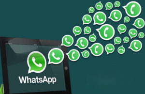 Bulk WhatsApp Service Provider – The Smart Way to Reach Your Customers bulk whatsapp service provider