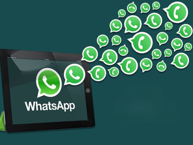 bulk whatsapp service provider