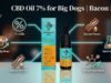 Supporting Your Large Breed: Why Owners Choose Quality CBD