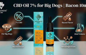Supporting Your Large Breed: Why Owners Choose Quality CBD