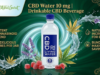 Elevating Daily Hydration with CBD Water 10mg