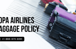 How to Navigate Copa Airlines Baggage Policy Like a Pro copa airlines baggage policy