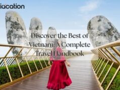 Discover the Best of Vietnam: A Complete Travel Handbook