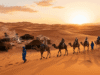 How to Plan a Luxury Adventure in the Desert Marrakech This Season desert marrakech