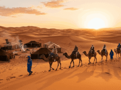 How to Plan a Luxury Adventure in the Desert Marrakech This Season desert marrakech