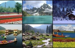 A Complete Guide to Choosing the Perfect Kashmir Tour Package