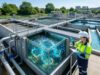 Nutrient Supplements for ETP: Improve Industrial Wastewater Treatment Efficiency etp-engineer-adding-nutrient-supplements-into-the-wastewater-treatment-plant