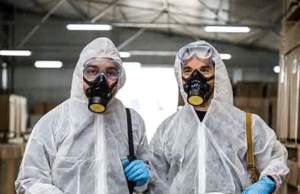 Best Pest Control Vaughan Guide for Safe Homes Today Pest Control Vaughan