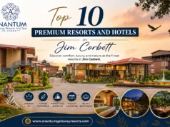Top 10 Premium Resorts and Hotels in Jim Corbett Resort in Corbett