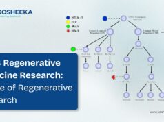Role of CD34+ Cells in Regeneration: Future of Regenerative Research Role-of-CD34-cells-in-regeneration