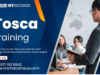 Using Tosca for Risk-Based Testing: A Simple Guide Tosca Online Training