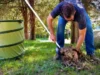 Yard Debris Removal Services for Clean Outdoor Spaces Yard Debris Removal Services