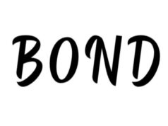 Indian Government Bonds: A Detailed Overview for New Investors