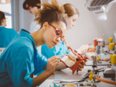 What Does a Dental Lab Do? A Complete Guide for Patients and Dentists dental laboratories