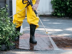 Expert Tips on Keeping Your Home Sparkling with Brighter Cleaning Services in Vancouver