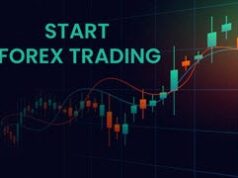 Forex Trading Basics and How Currency Markets Operate Forex trading