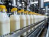 Soya Milk Manufacturing Plant Cost 2026: Market Growth, Capacity & ROI Analysis