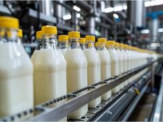 Soya Milk Manufacturing Plant Cost 2026: Market Growth, Capacity & ROI Analysis