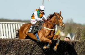 Exploring Hyderabad Race Club: Races, Rules, and Tips hyderabad race club