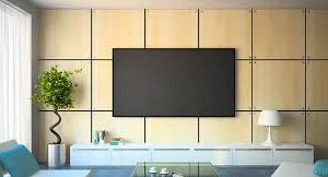 Kemerovo State University: A Complete Guide for Indian Students Planning MBBS in Russia