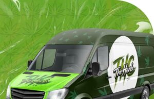 Bulk Weed Oder Premium Quality Cannabis at Affordable Prices | The Herb bulk weed oder