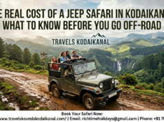 The real cost of a jeep safari in Kodaikanal: what to know before you go off-road
