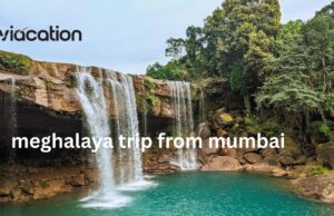 Plan Your Meghalaya Trip from Mumbai – Complete Guide meghalaya trip from mumbai