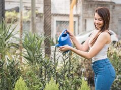 10 Best Companies Selling Sprinkler Kits to Keep Your Garden Thriving All Season Long