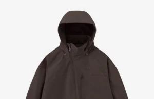 the Deputy Department: Structure, Functions, and Impact the Deputy Department: Structure, Functions, and Impact