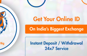 Tigerexchange Guide: Go Exchange Master ID Tips